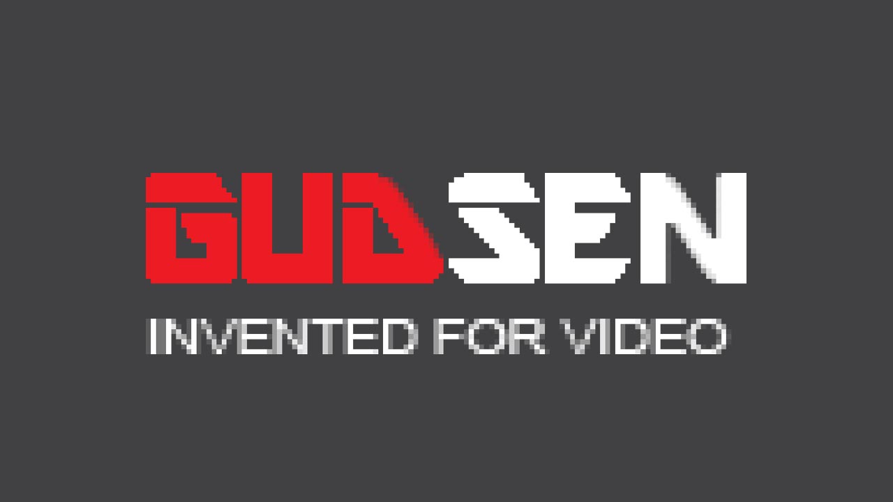 gudsen camera stabilizers